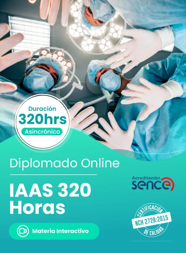 Diplomado en IAAS - 320 Horas - Online